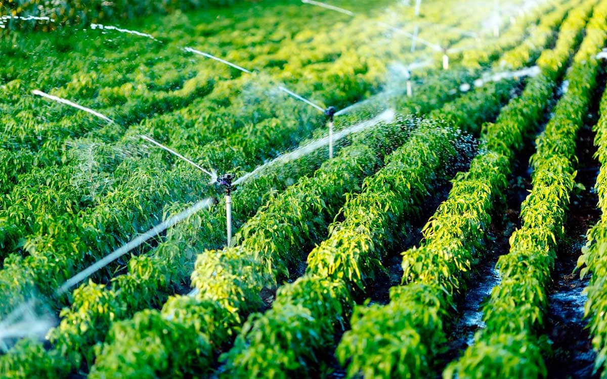 6-tendencias-tecnologicas-en-el-sector-del-agua-para-2023