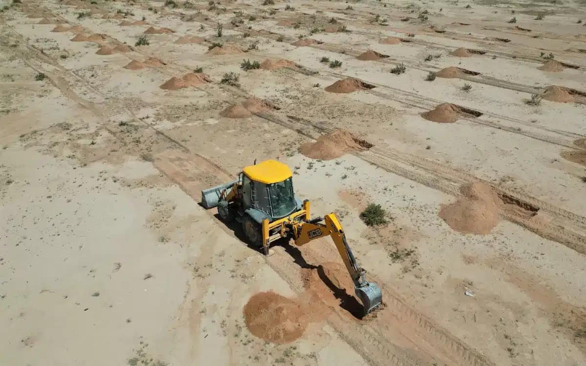 yalla-green-lg-ayuda-a-reforestar-el-planeta-en-arabia-saudita